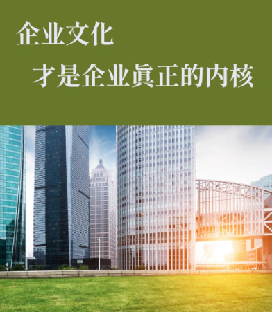 燃气壁挂炉与燃气灶具联动安装的技术要点及常见问题规避